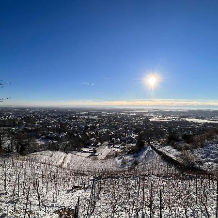 Апартаменты Alte Post Altwahnsdorf Радебойль Экстерьер фото
